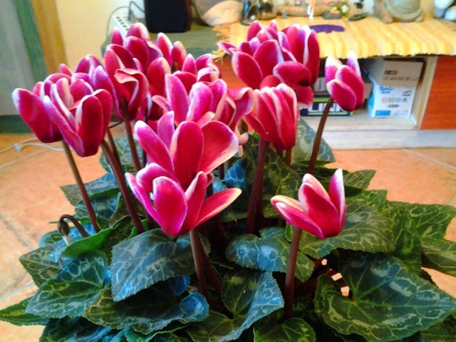 网络配图 网络配图