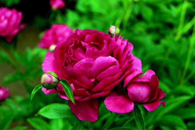 网络配图 网络配图