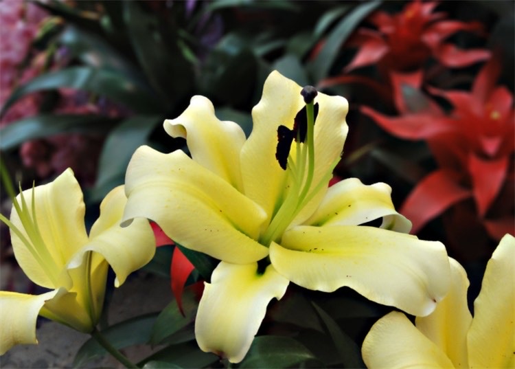 网络配图 网络配图