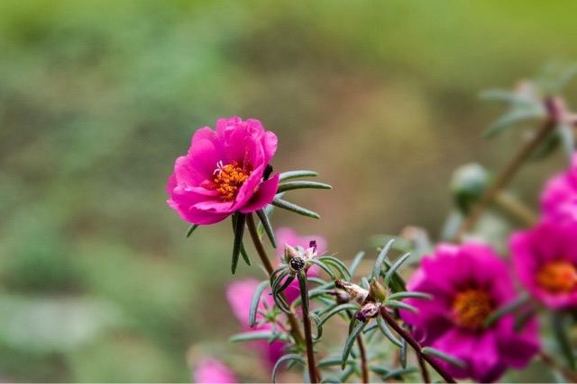 网络配图 网络配图