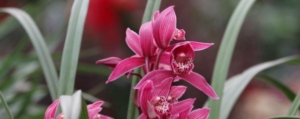 网络配图 网络配图