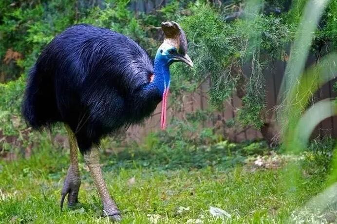 网络配图 网络配图