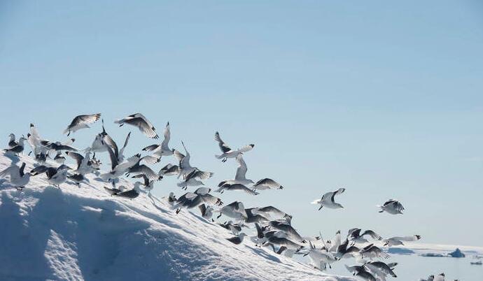 网络配图 网络配图