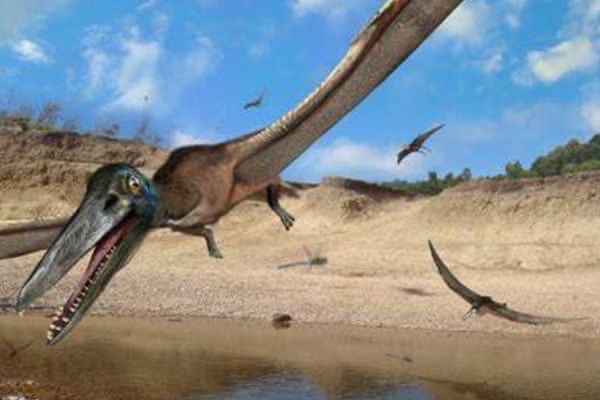 网络配图 网络配图