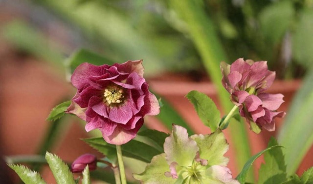 网络配图 网络配图