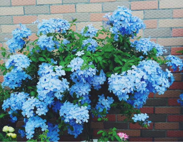 网络配图 网络配图