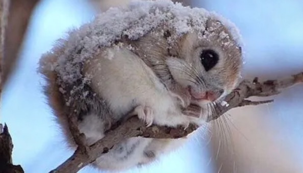 网络配图 网络配图