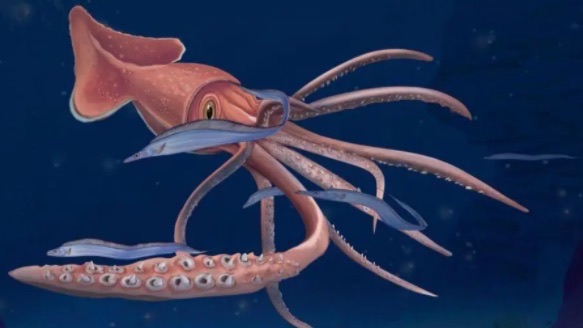 网络配图 网络配图