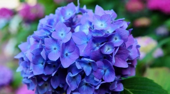 网络配图 网络配图