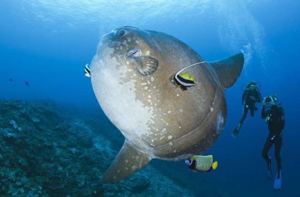 网络配图 网络配图