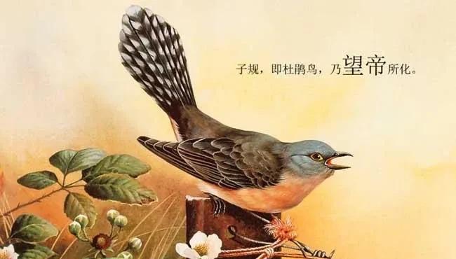 网络配图 网络配图