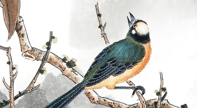 网络配图 网络配图