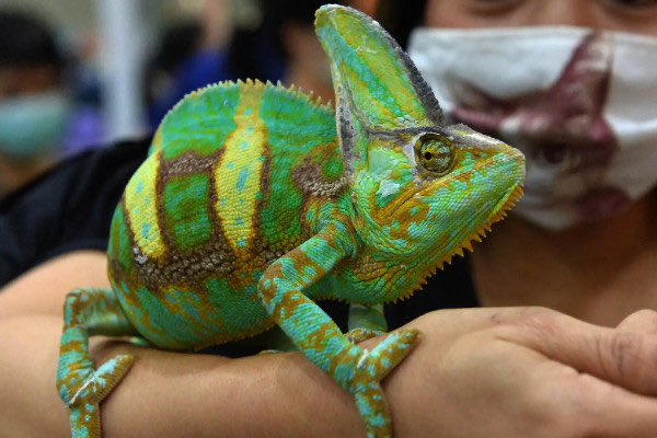 网络配图 网络配图