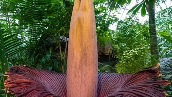 网络配图 网络配图