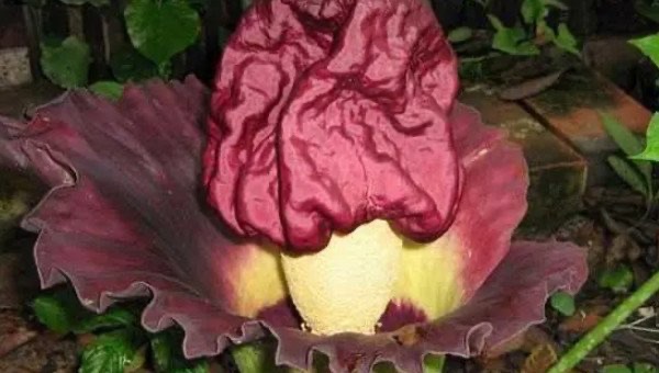 网络配图 网络配图