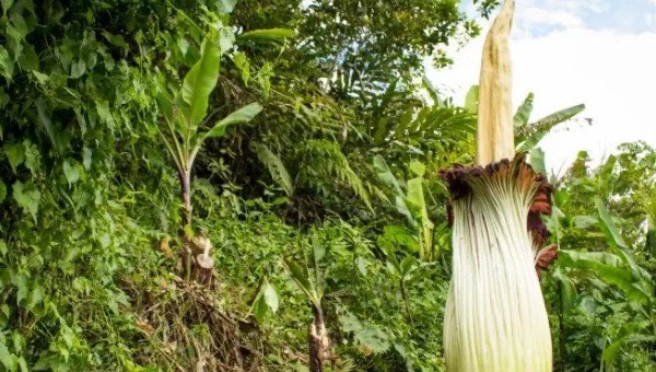 网络配图 网络配图