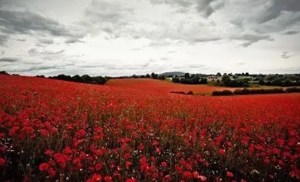 网络配图 网络配图