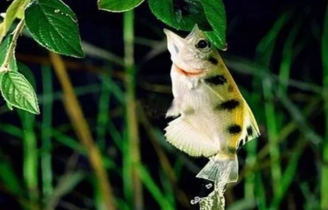 网络配图 网络配图