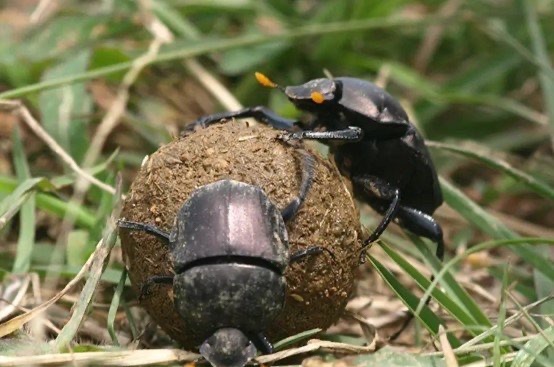 网络配图 网络配图