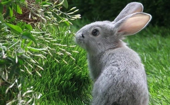 网络配图 网络配图