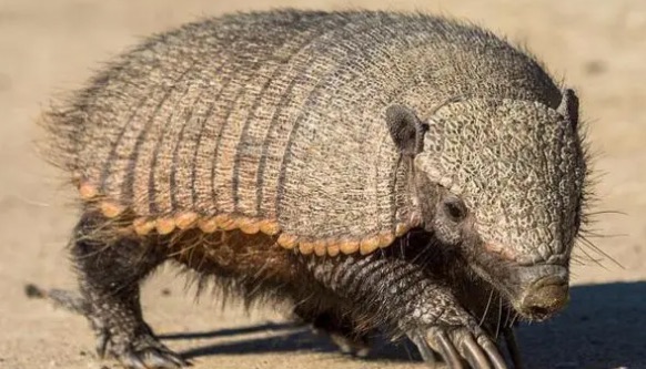 网络配图 网络配图