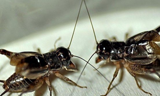 网络配图 网络配图