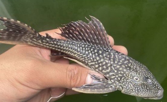 网络配图 网络配图