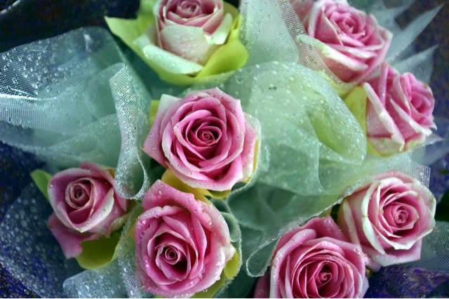 网络配图 网络配图