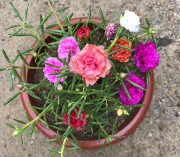 网络配图 网络配图