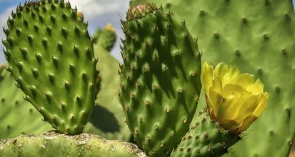 网络配图 网络配图