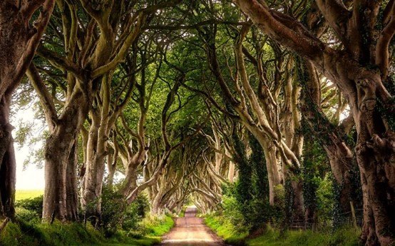 网络配图 网络配图