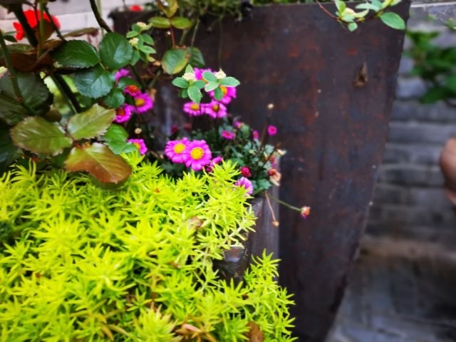 网络配图 网络配图