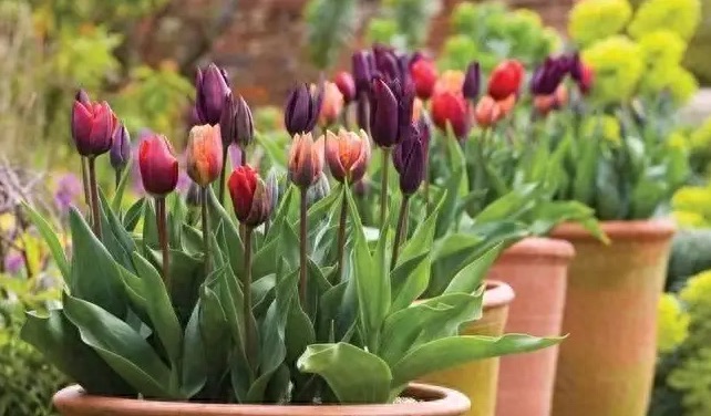 网络配图 网络配图