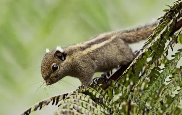 网络配图 网络配图