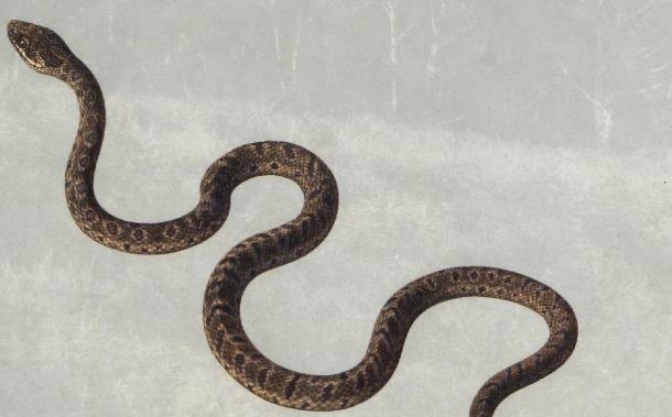 网络配图 网络配图