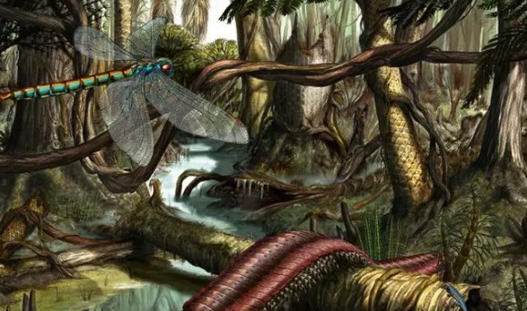 网络配图 网络配图