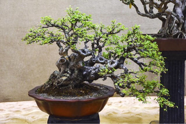 网络配图 网络配图