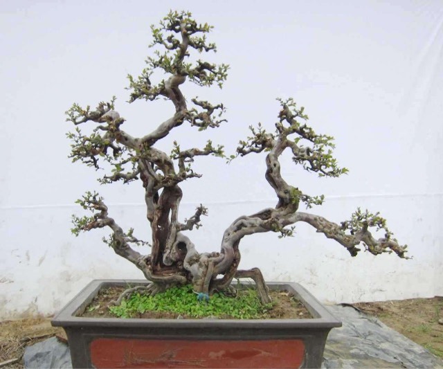 网络配图 网络配图