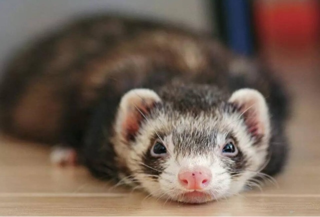 网络配图 网络配图