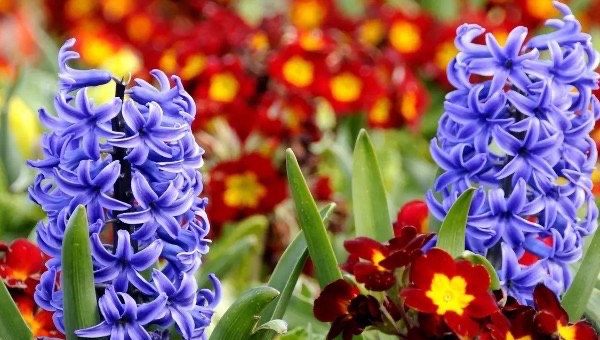 网络配图 网络配图