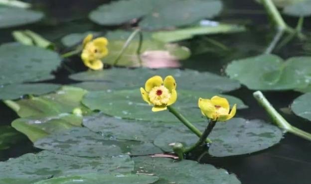 网络配图 网络配图