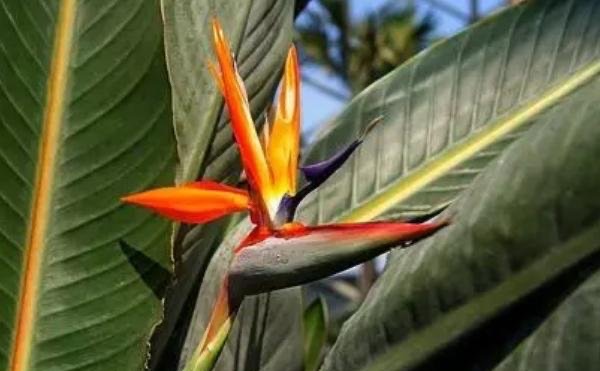 网络配图 网络配图