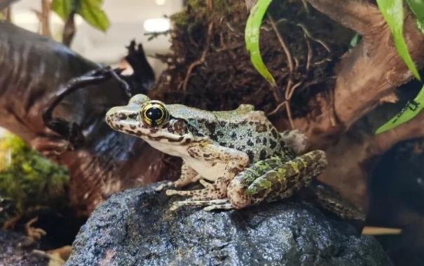 网络配图 网络配图