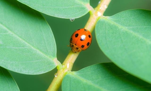 网络配图 网络配图