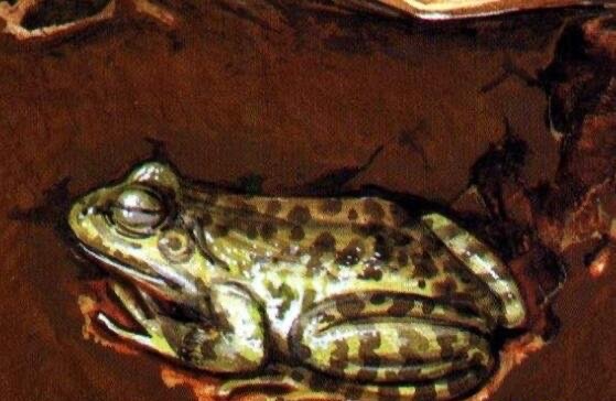 网络配图 网络配图