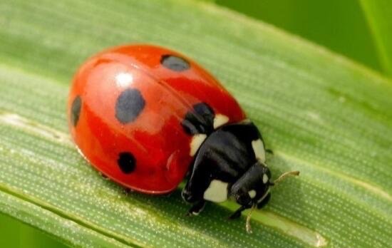 网络配图 网络配图