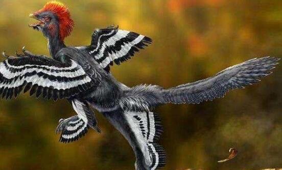 网络配图 网络配图