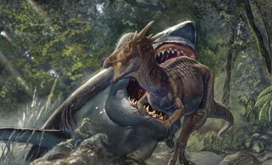 网络配图 网络配图