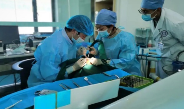 网络图片(侵删) 网络图片(侵删)