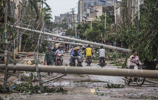 网络图片(侵删) 网络图片(侵删)